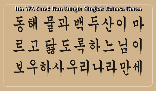 Bio WA Cuek Dan Dingin Singkat Bahasa Korea