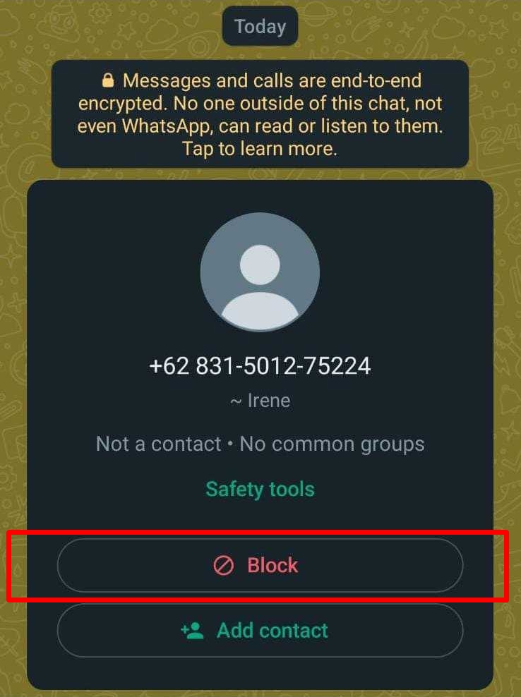 Sekilas Tentang Fitur Blokir Whatsapp