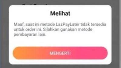 Cara Mengatasi Lazada Paylater Tidak Bisa Digunakan Karena Telat Bayar