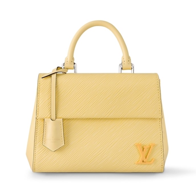 Tas Louis Vuitton The Cluny Mini Handbag
