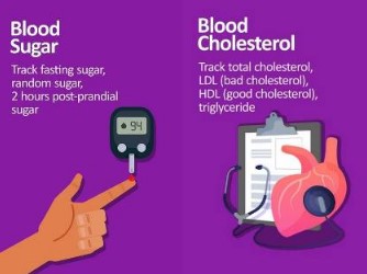 Aplikasi Blood Pressure, Sugar And Cholesterol