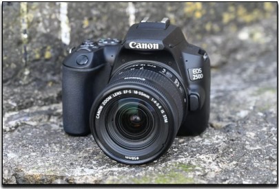 4. Canon EOS 250D