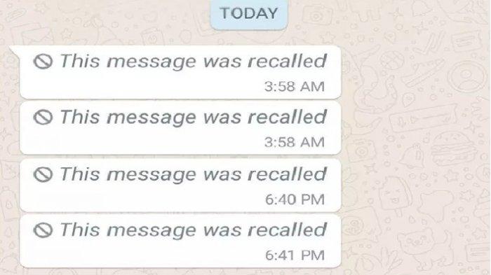 Cara Melihat Pesan WhatsApp Yang Sudah Dihapus Oleh Pengirimnya