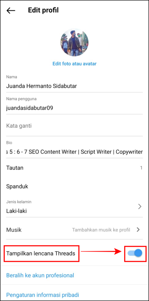 Cara Menampilkan Threads Di Bio Instagram Terbaru 2024