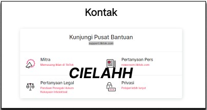 Hubungi Layanan Bantuan TikTok