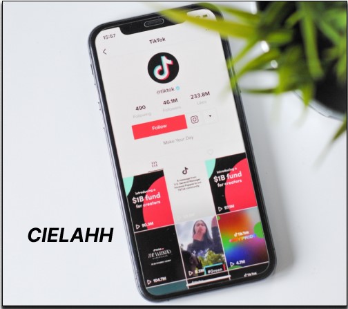 Kenalan Dengan Aplikasi TikTok