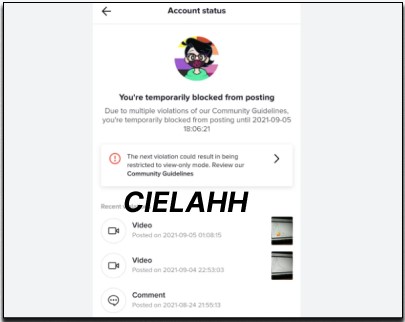 Periksa Pelanggaran Akun TikTok