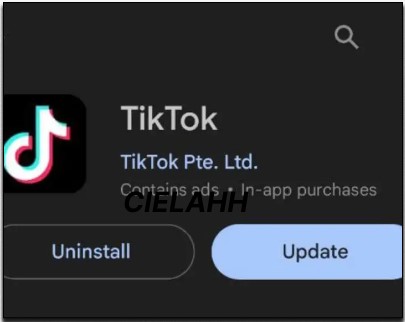 Update Aplikasi TikTok